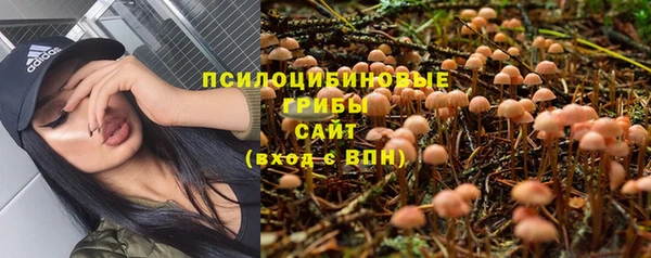 2c-b Алексеевка