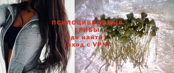 PSILOCYBIN Абдулино